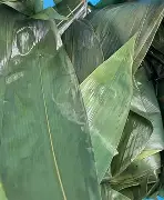 踏雪乌啼观海啸笔趣阁